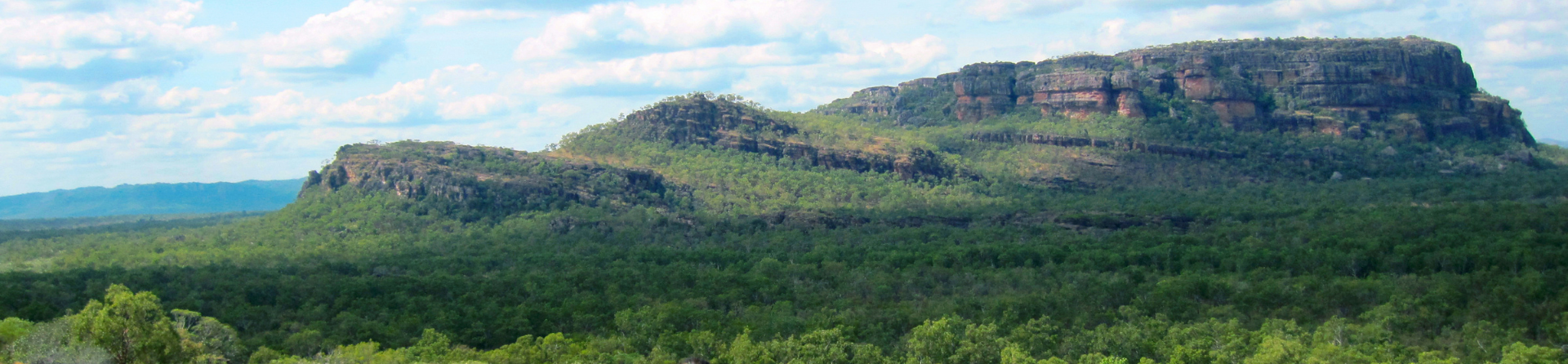 5 things to do in Kakadu National Park