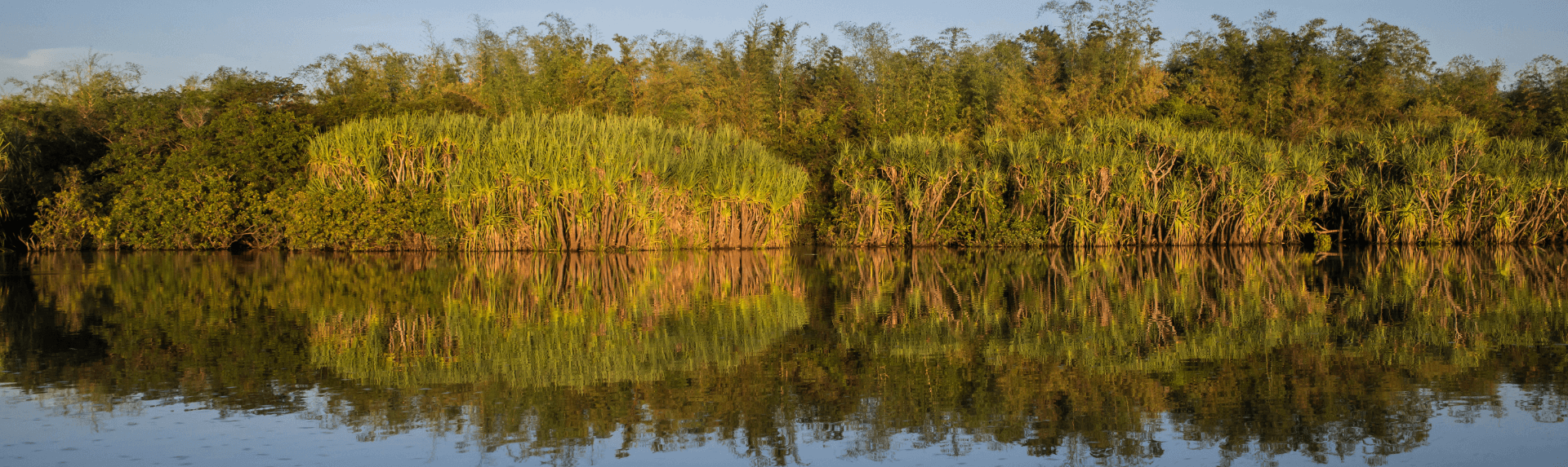 A guide to the Kakadu wetlands