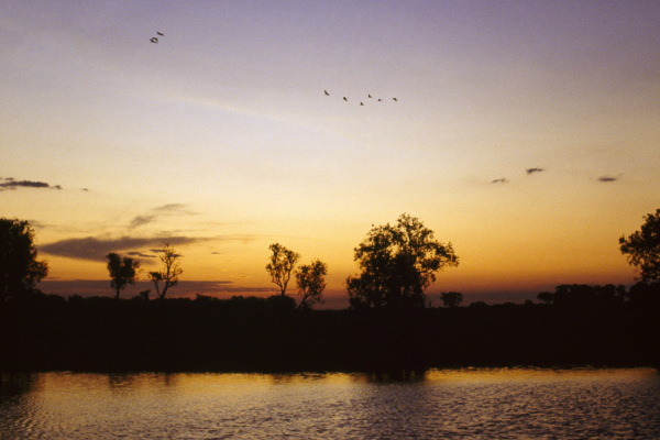 Kakadu Wetlands