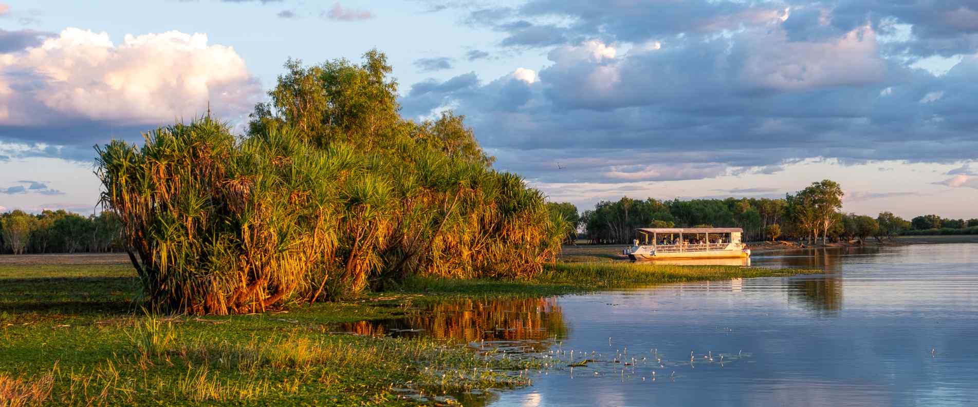 group of people on boat cruise in wetlands area