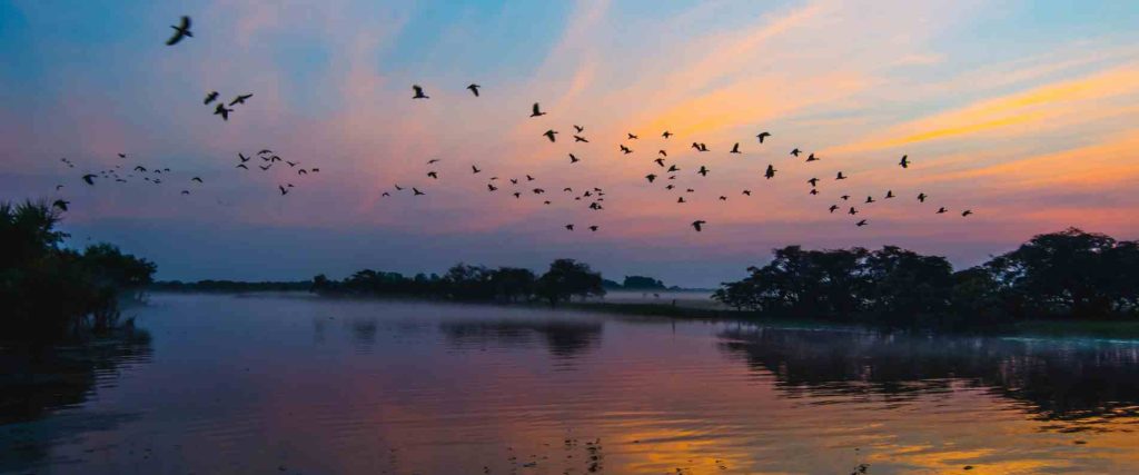 3 Day Kakadu & Litchfield Tour $645