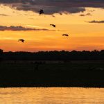 sunset over wetlands