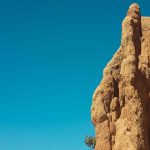 Tall termite mound