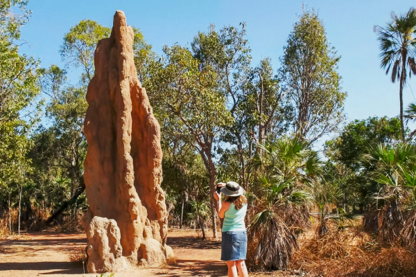 Kakadu National Park Termite Mounds