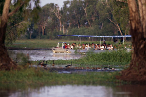 Yellow River Cruise Kakadu