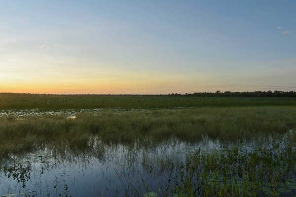 Mamukala Wetlands, NT